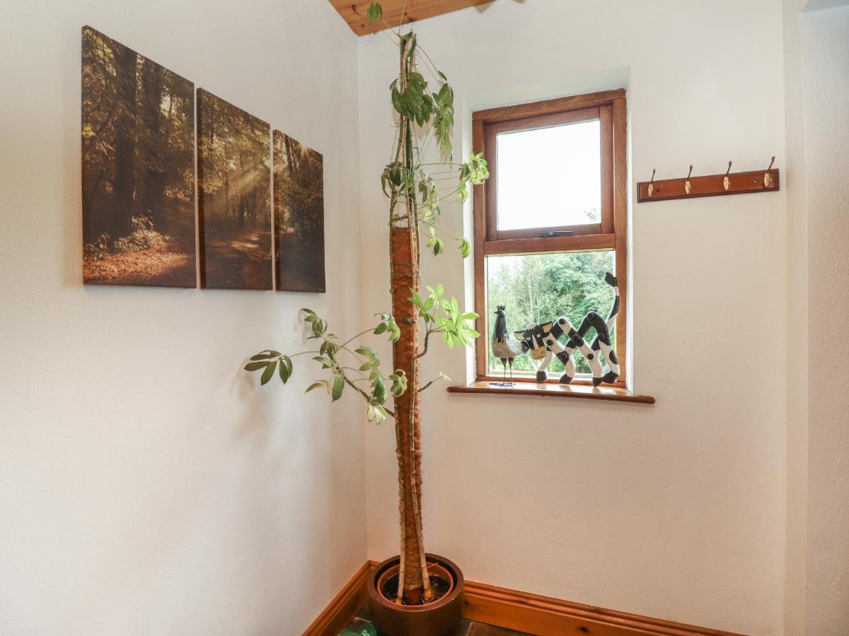 Silver Birch Cuar an Chláir 外观 照片