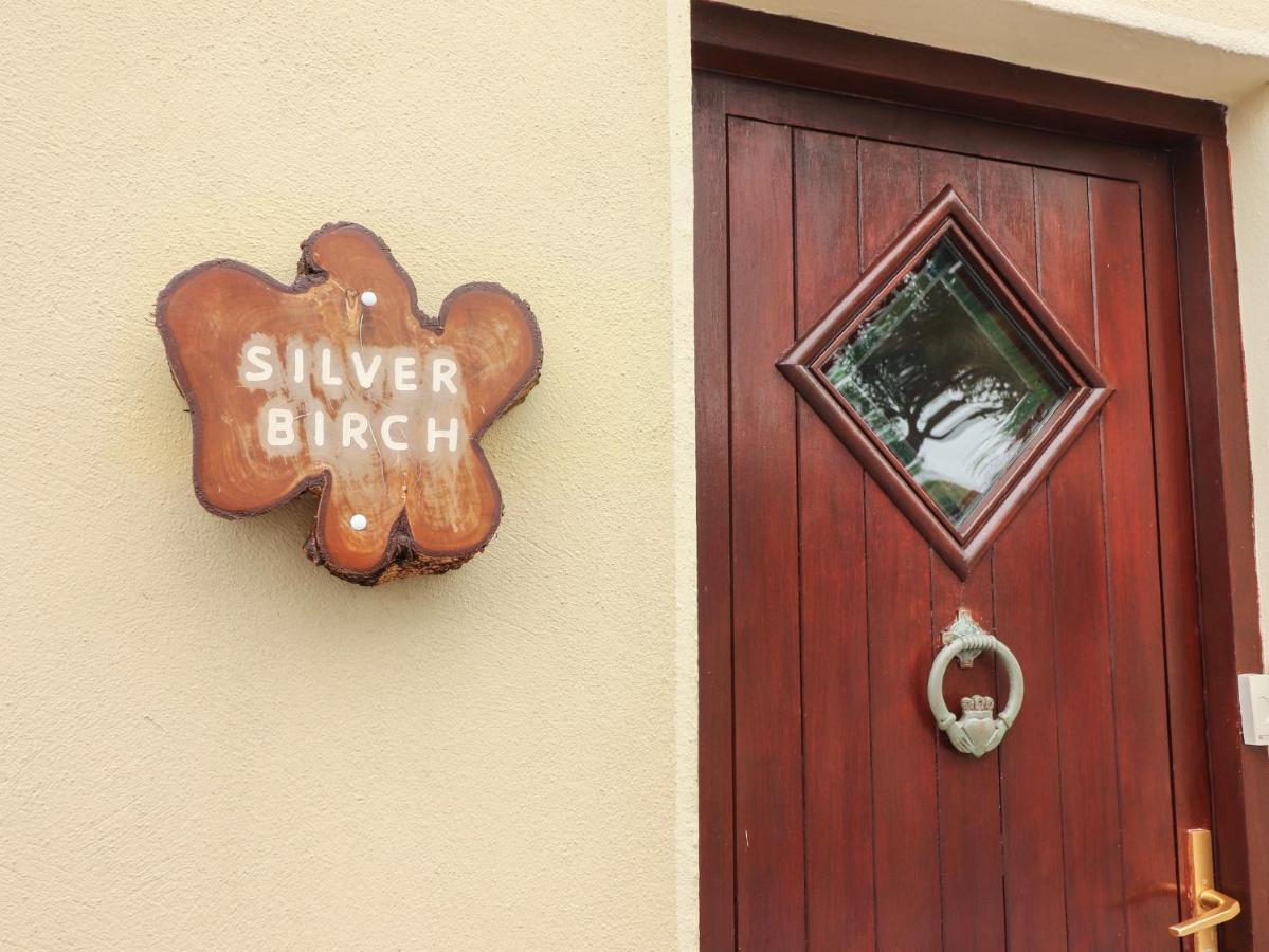 Silver Birch Cuar an Chláir 外观 照片